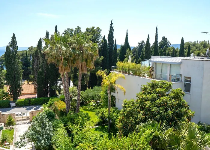 Amazing Kasjuni With Garrage 斯普利特